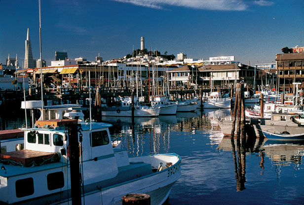 San Francisco Marriott Fisherman's Wharf, San Francisco, CA