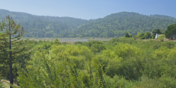 Knob Hill Cottage (Closed)