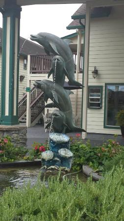 Emerald Dolphin Inn