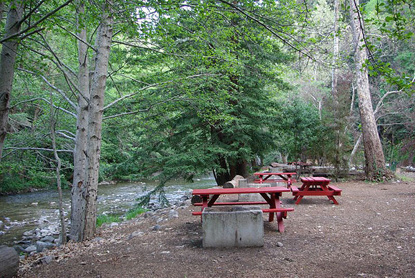Riverside Campgrounds & Cabins