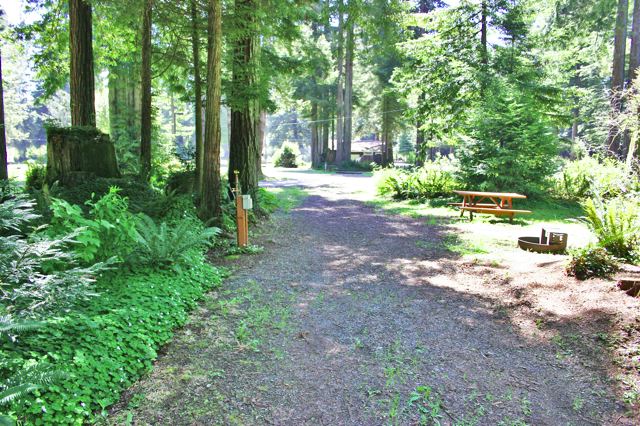 The Redwoods RV Resort