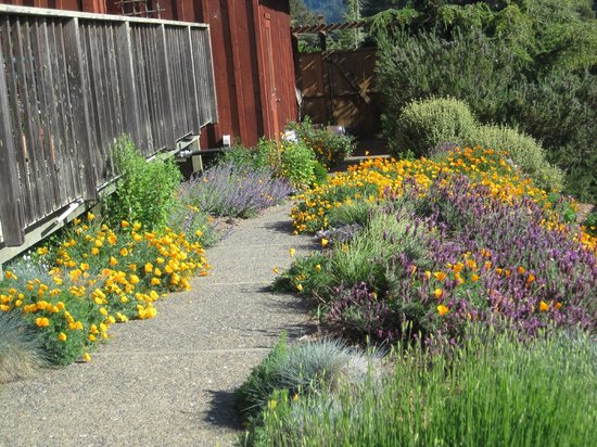 Roundstone Farm Bed and Breakfast Inn