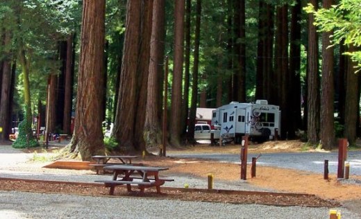 The Redwoods RV Resort