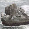 Wedding Rock at Patrick’s Point State Park