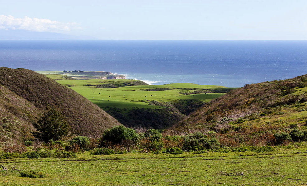 A view of BLM portion of Coast Diaries State Park
