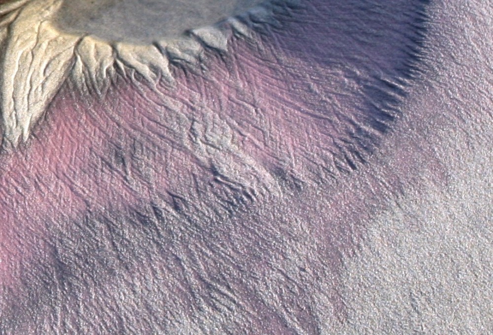 PfeifferBeachPurpleSand-SteveJurvetson-Flickr2