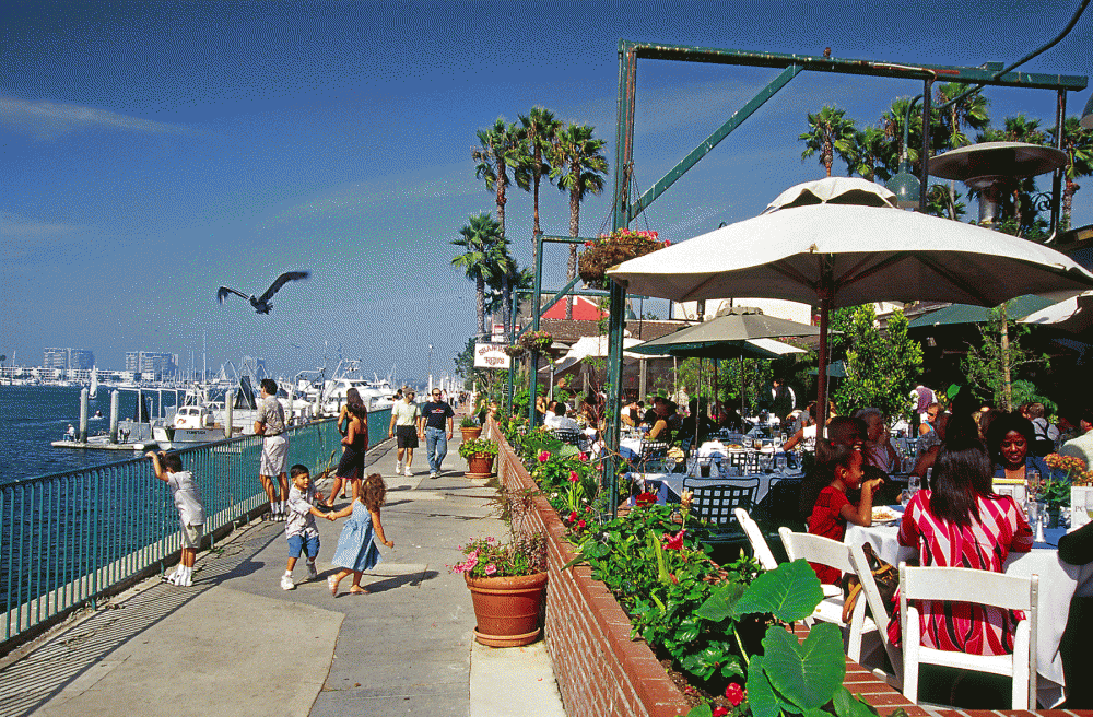 Terrace Cafe