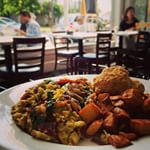 Rhinoceros Cafe & Grill