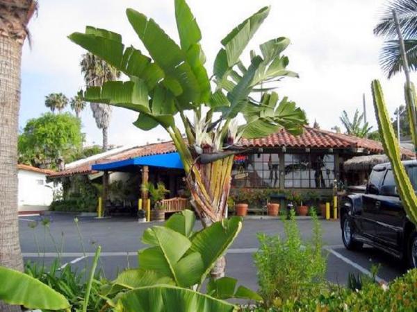 El Mariachi Restaurant