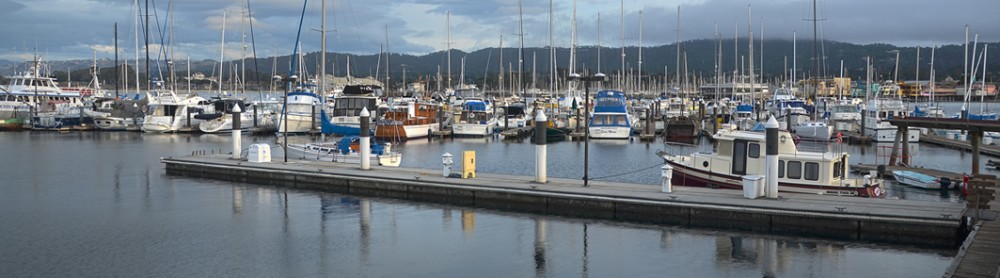Breakwater Cove Marina