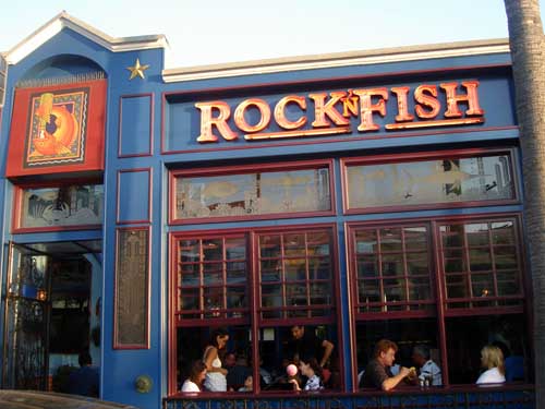 Rock ‘N Fish