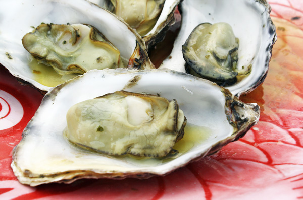 Morro Bay Oyster Company
