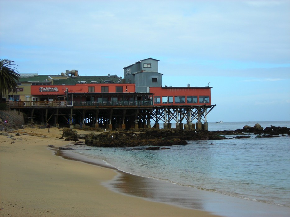 Peninsula Fish