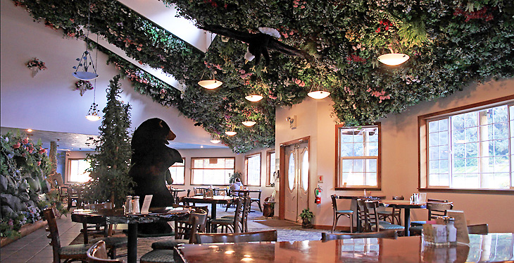 Forest Cafe