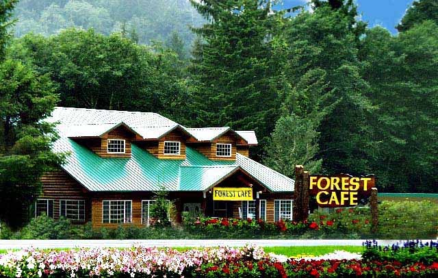 Forest Cafe