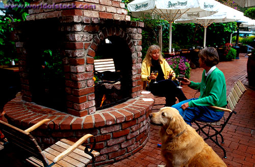 Forge In The Forest Restaurant