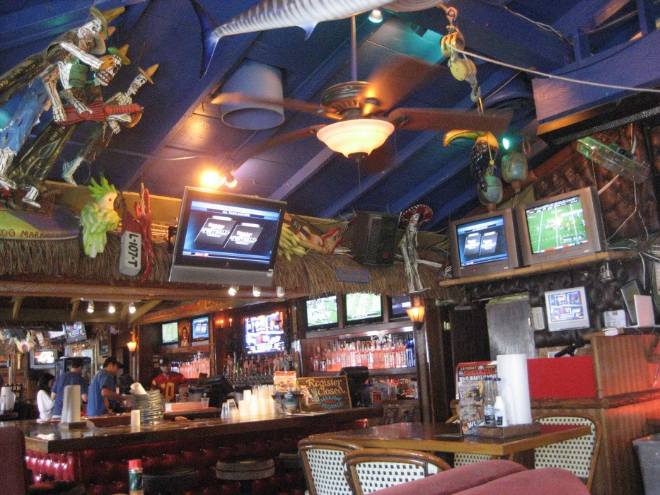 Baja Sharkeez, Manhattan Beach, CA California Beaches