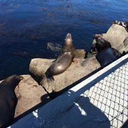 Breakwater Cove Marina