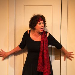 Mendocino Theatre Company