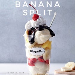 Haagen Dazs Ice Cream