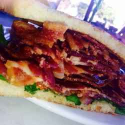 Rhinoceros Cafe & Grill