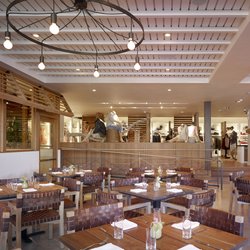 Tommy Bahama Bar & Grill