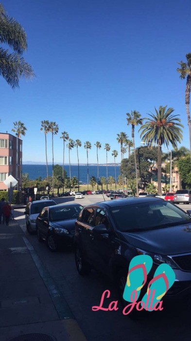 Taste of the Himalayas