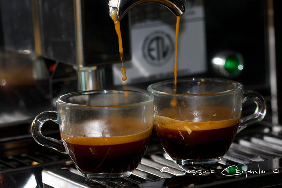 Coffee Cove