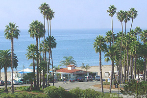 Shoreline Beach Cafe