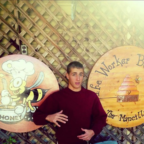 The Worker Bee Cafe