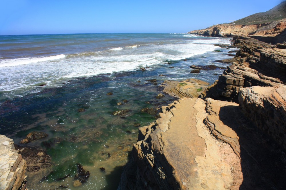 Point Loma Tide Pools