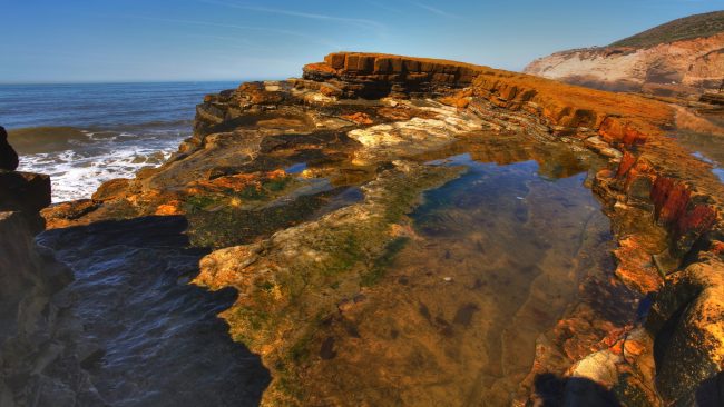 Point Loma Tide Pools San Diego CA California Beaches