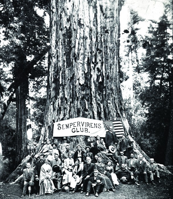 Big Basin Redwoods State Park