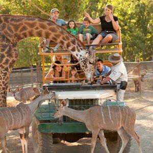Safari West Wildlife Preserve