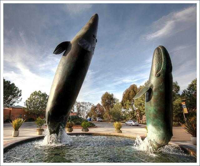 Birch Aquarium at Scripps, La Jolla, CA - California Beaches