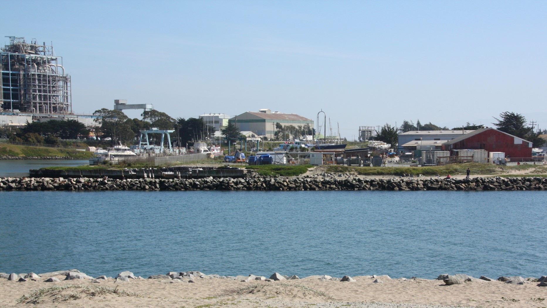 Elkhorn Slough, Watsonville, CA California Beaches