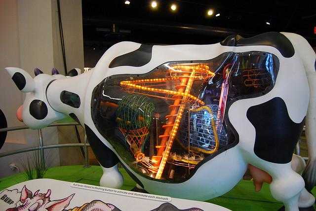 Reuben H. Fleet Science Center