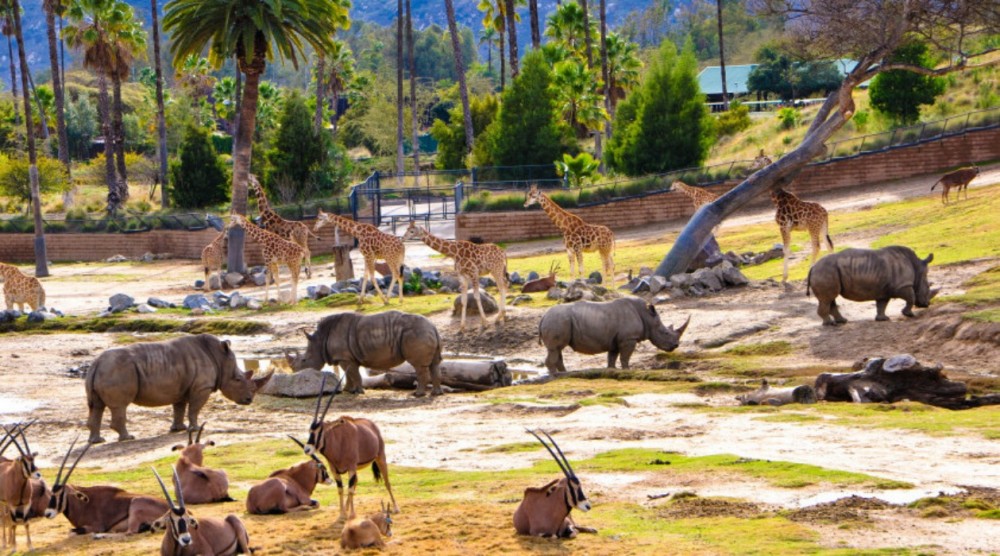 San Diego Zoo Safari Park, Escondido, CA - California Beaches