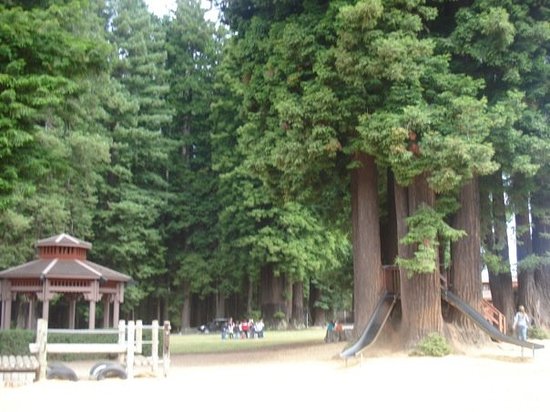 Sequoia Park Zoo