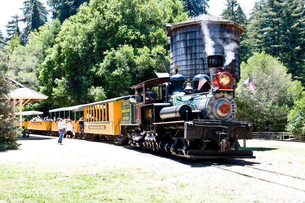 Roaring Camp Railroad Train Ride