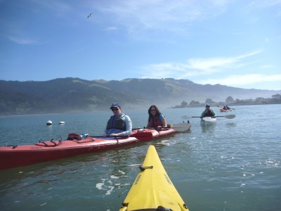 Blue Waters Kayaking Tours & Rentals