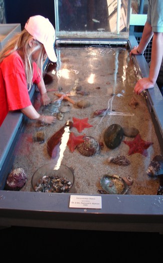 Sea Center Santa Barbara Santa Barbara Ca California Beaches