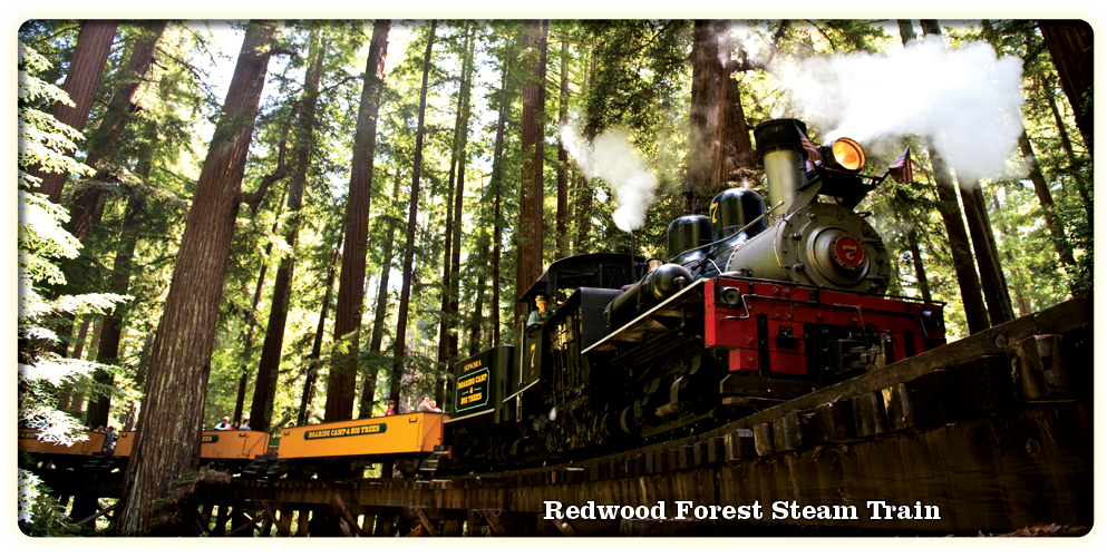 Roaring Camp Railroad Train Ride