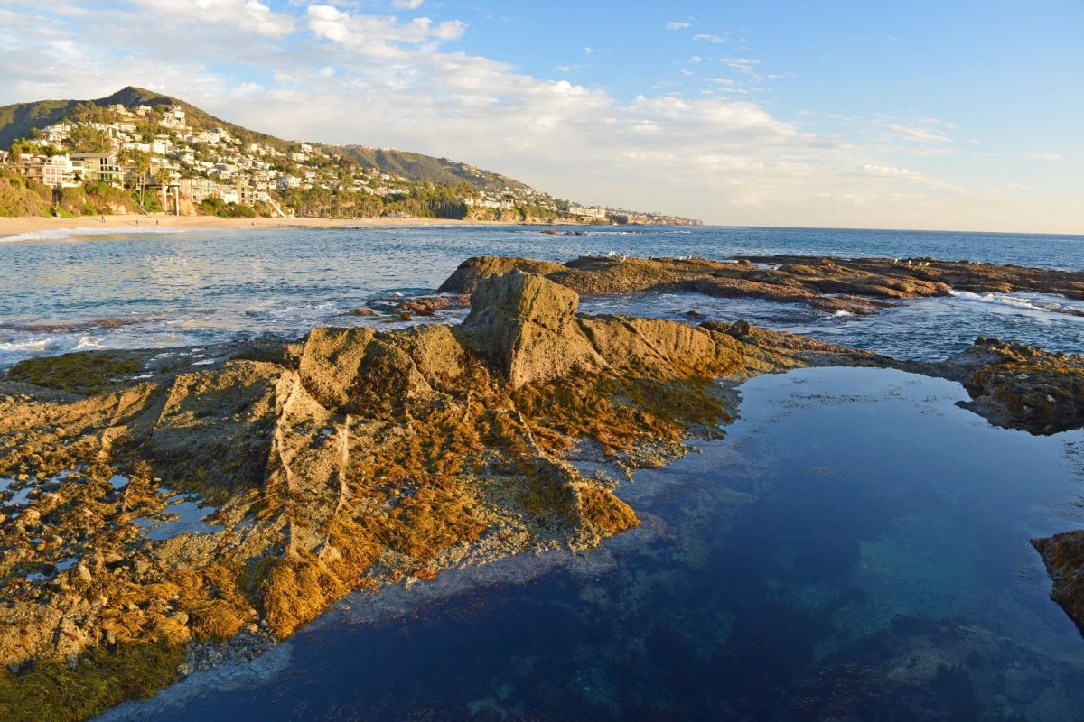 Laguna Beach Tide Pools - California Beaches