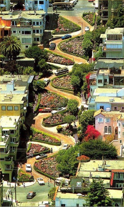 Lombard Street San Francisco Ca California Beaches