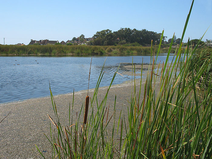 Buena Vista Nature Center and Lagoon