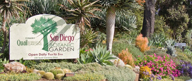 San Diego Botanic Gardens