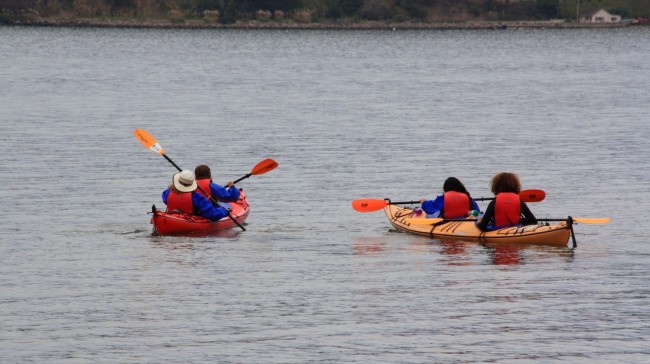 IMG_0321-kayaking-camping-tomales-bay (Custom)