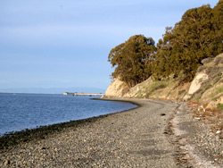 Point Pinole Regional Shoreline