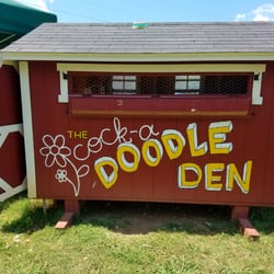 The Gentle Barn